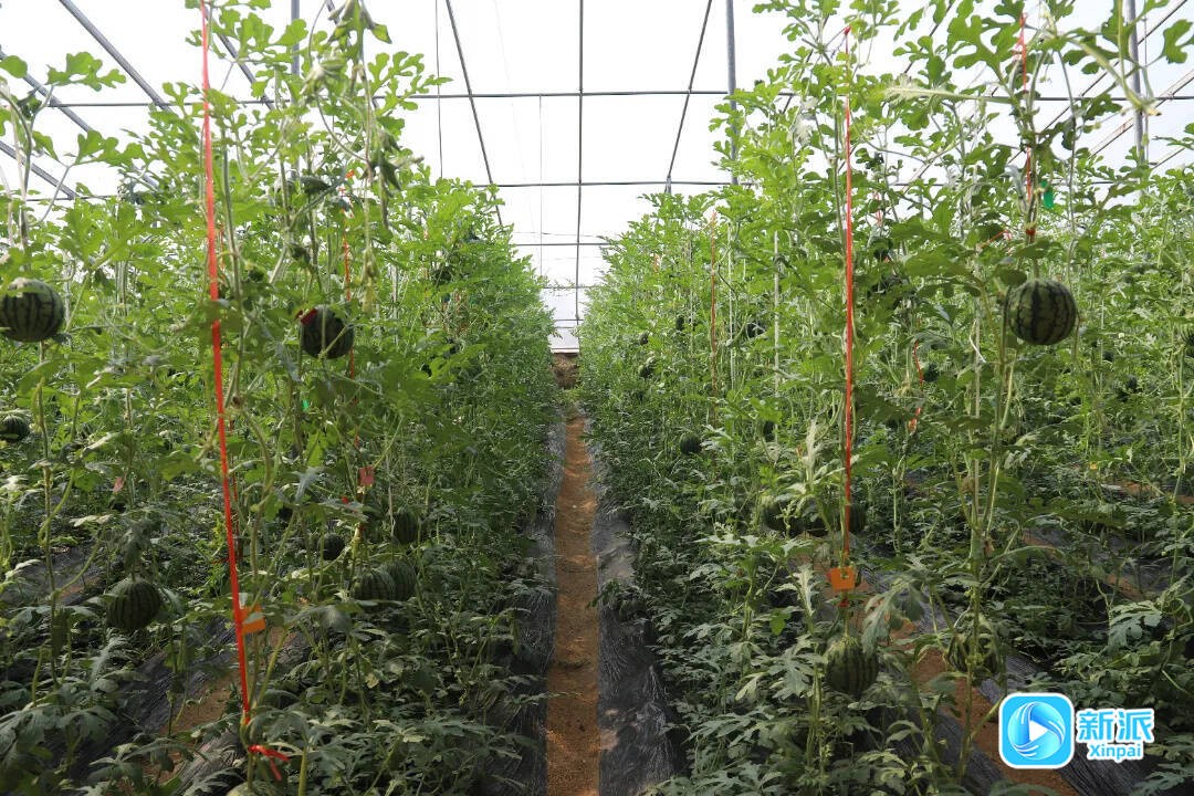 微信图片_20260318100239_3650_46