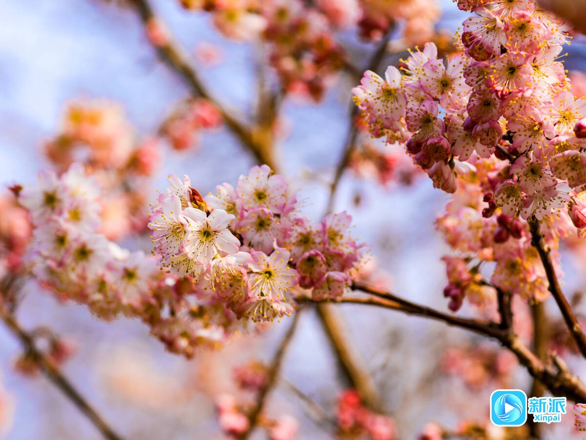 ed0d55d405db9fc39570987db924f823