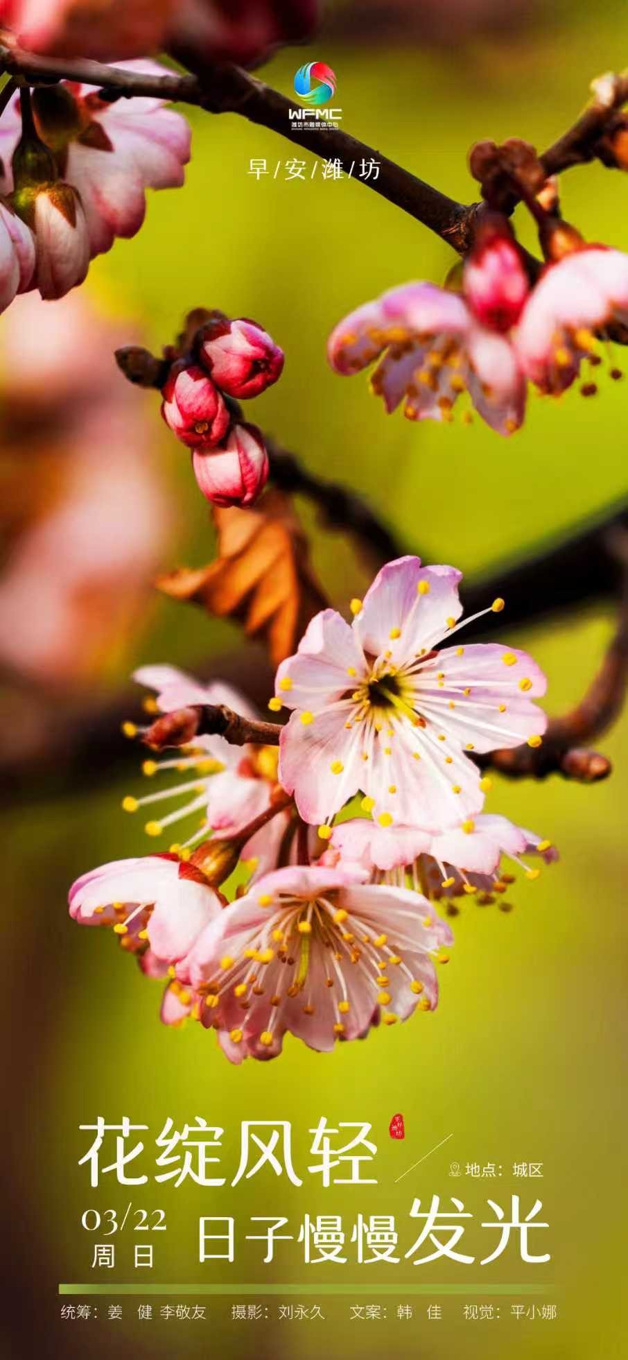 微信图片_20260321180120_6433_50