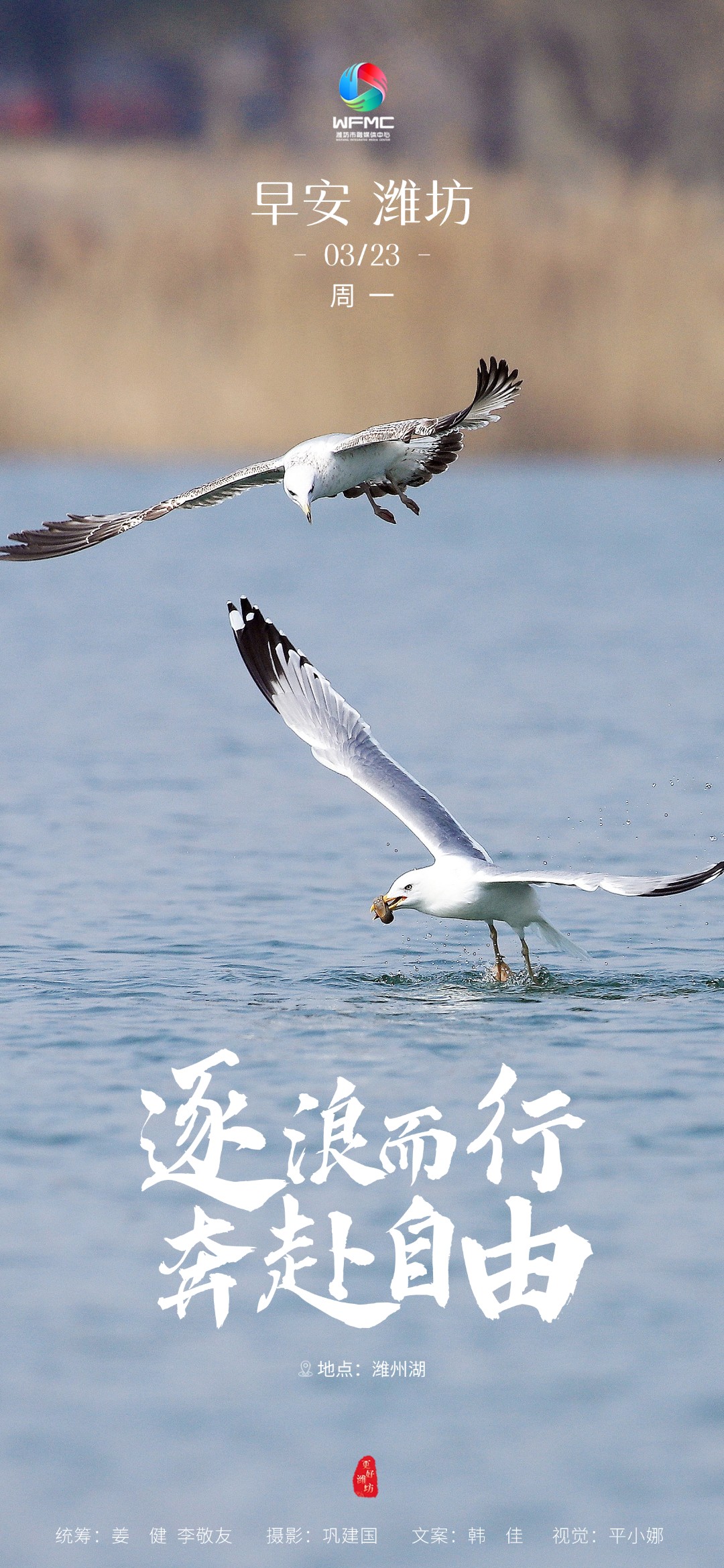 微信图片_20260320152236_559_178