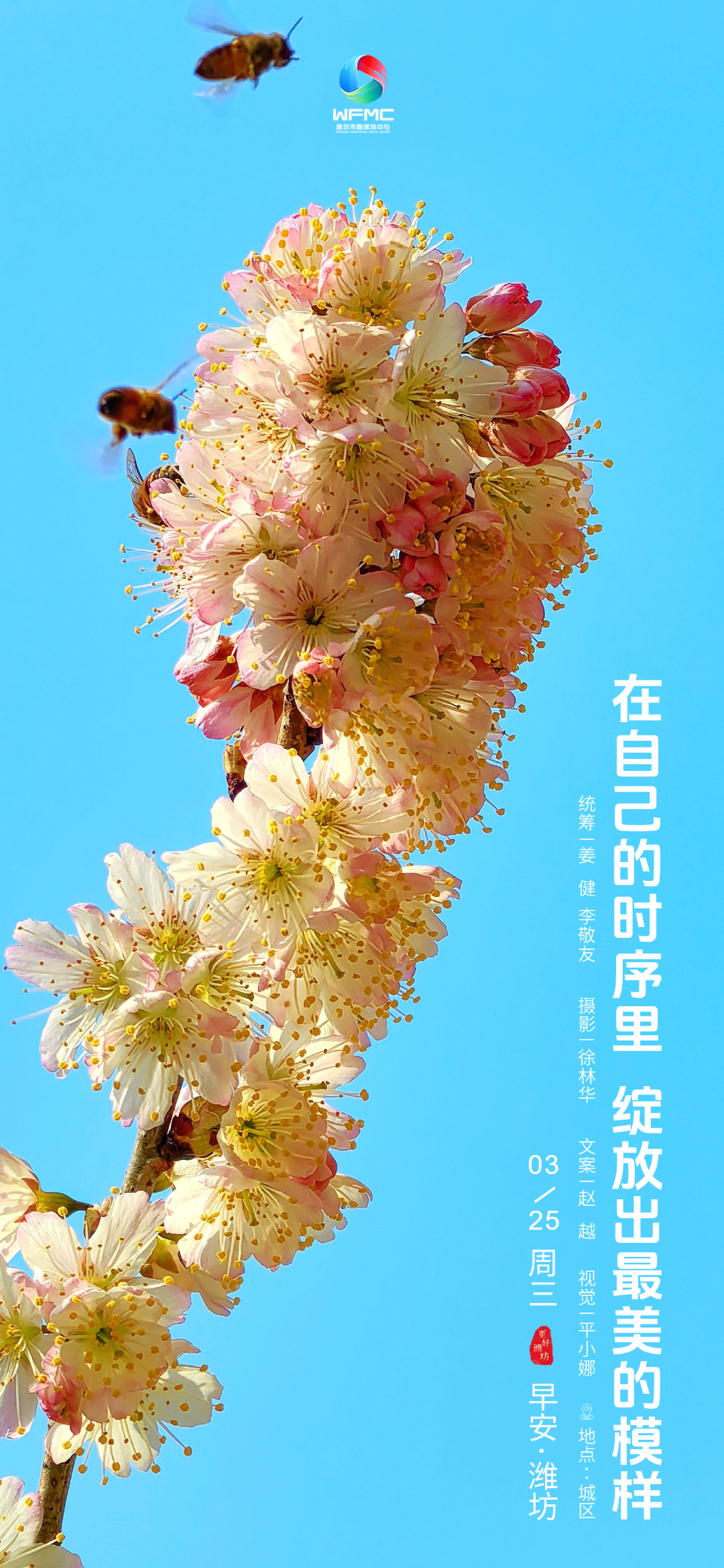 微信图片_20260324145311_424_86