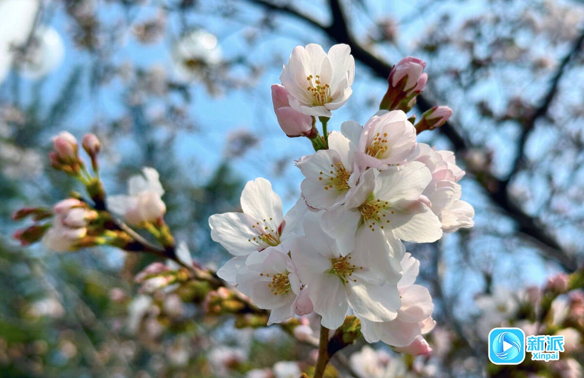 b97e9f44a1208b38394a1cae32fc17b3