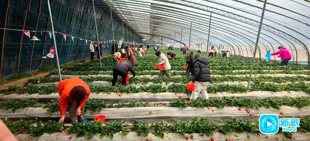 0de20da2969946f53c1efe84f942af83