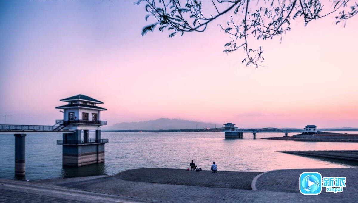 a2034577379581636f7dba53942e30c8