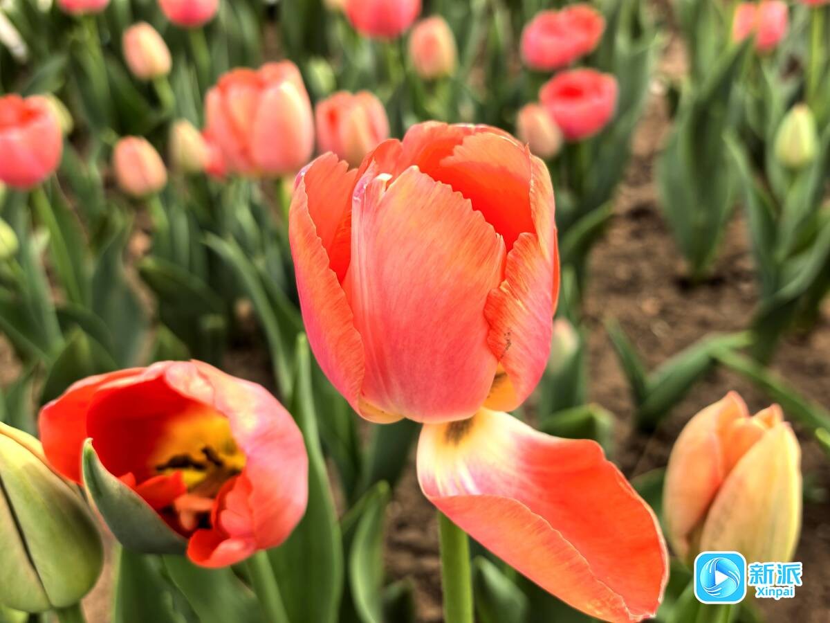 5029416f7cc8b7b8b19fef6fb040fa11