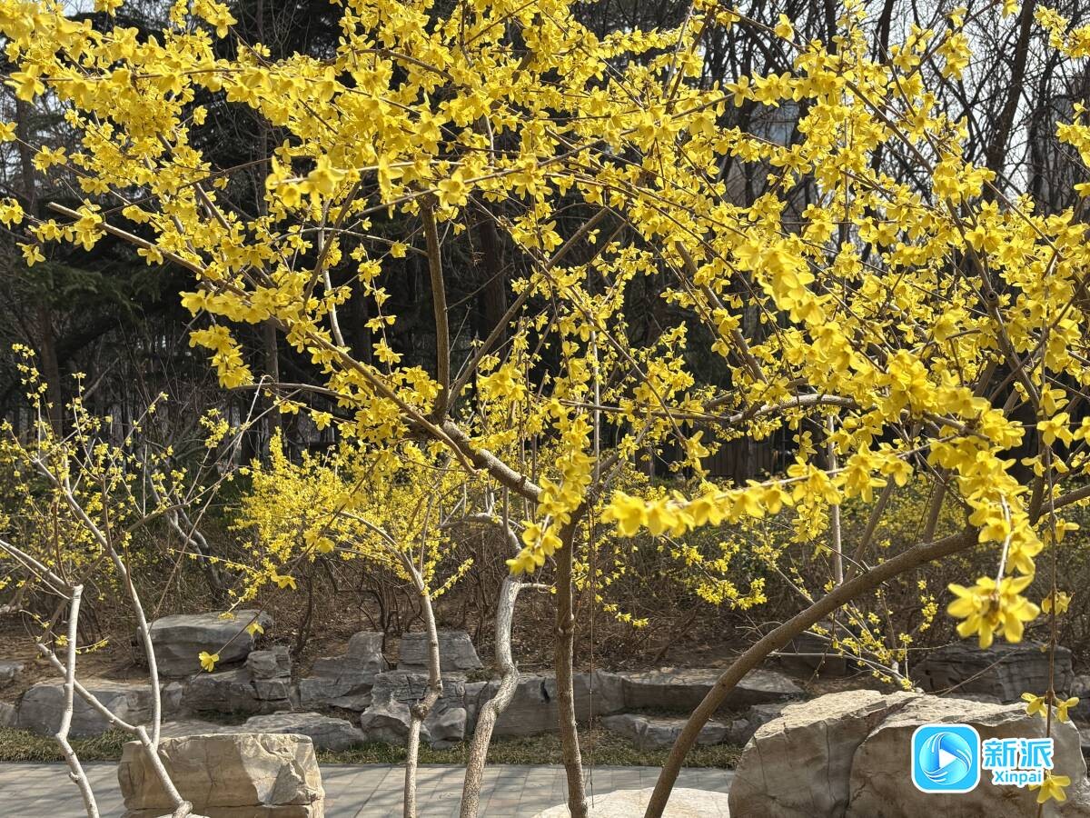 a3aea8ad1d5453aa3035294a6bd4fa2e