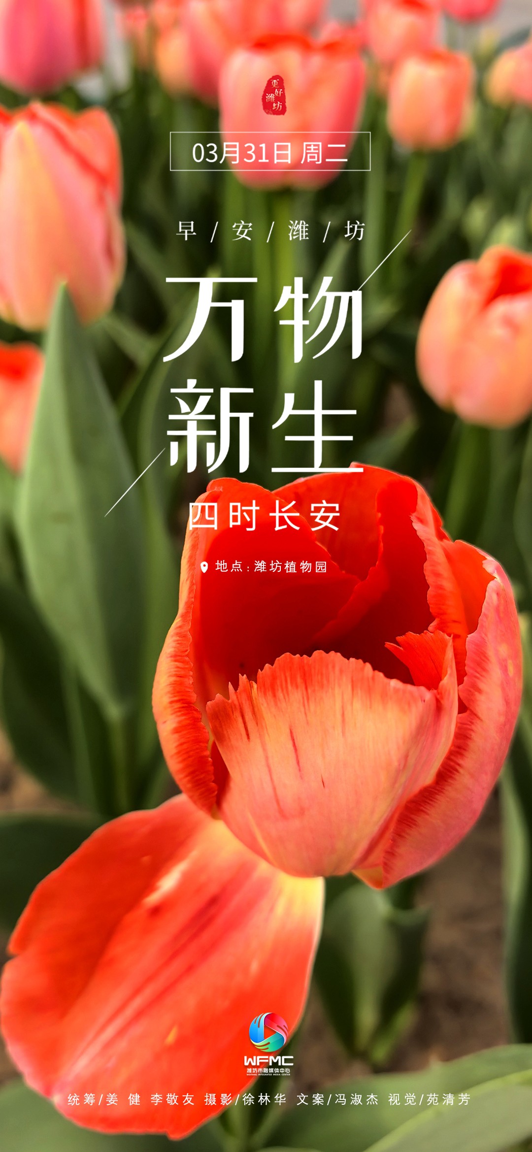 微信图片_20260330160916_661_22