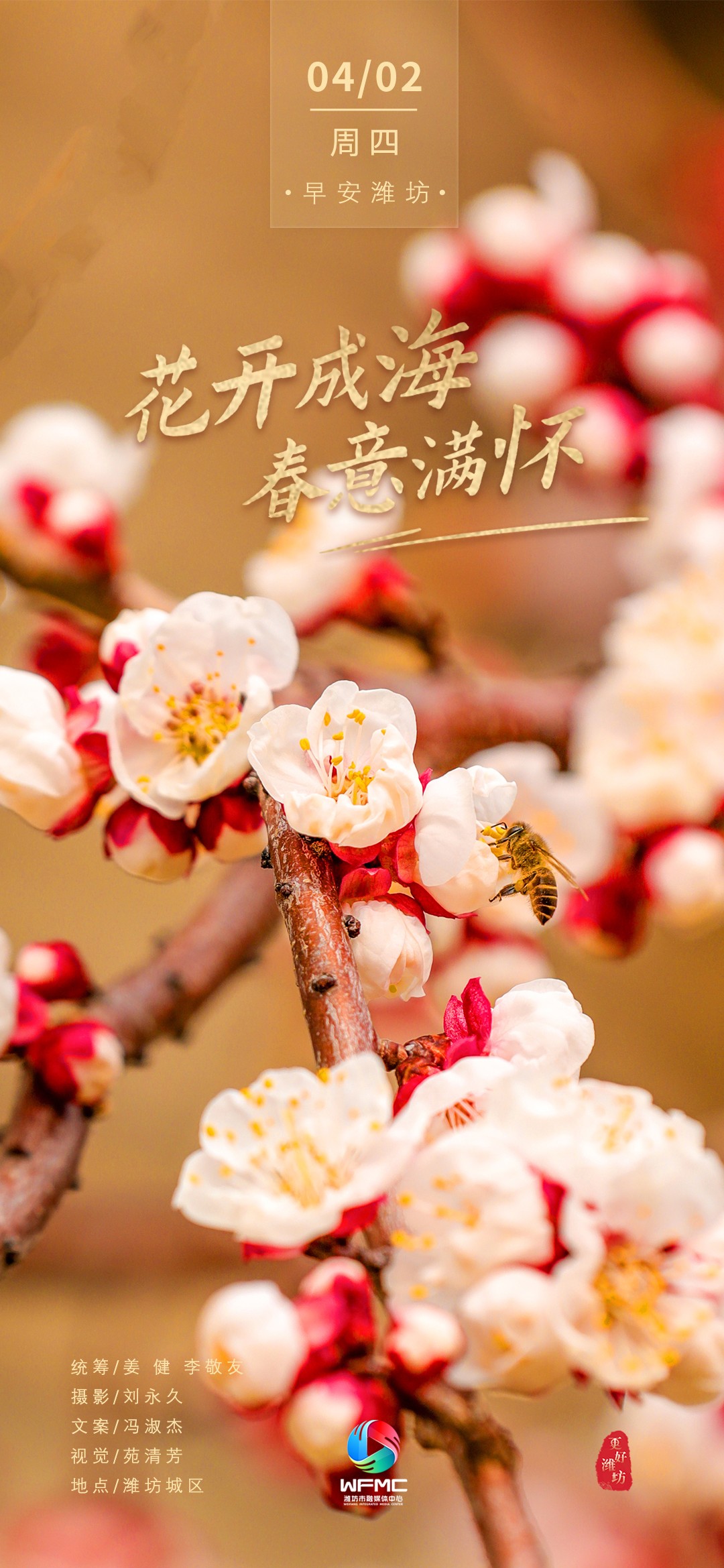 微信图片_20260401155822_669_22