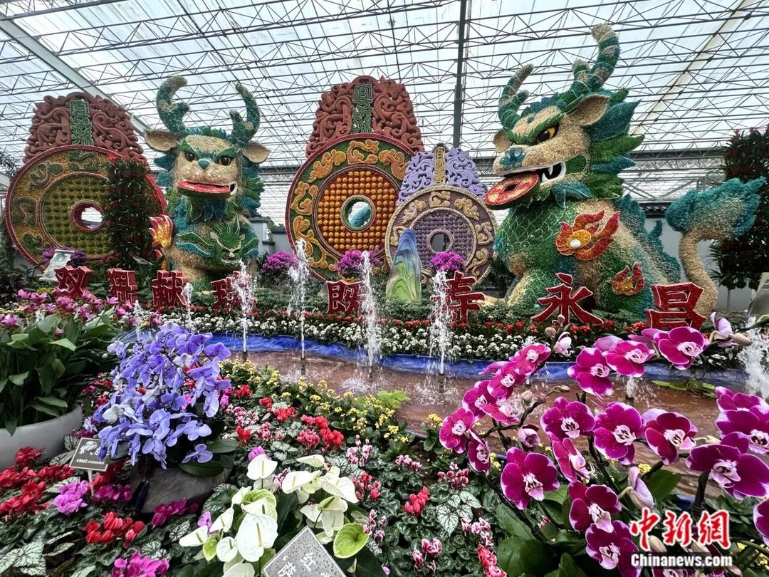 第25届中国(青州)花卉博览交易会暨第19届山东省花卉交易会展厅内景。冯宁