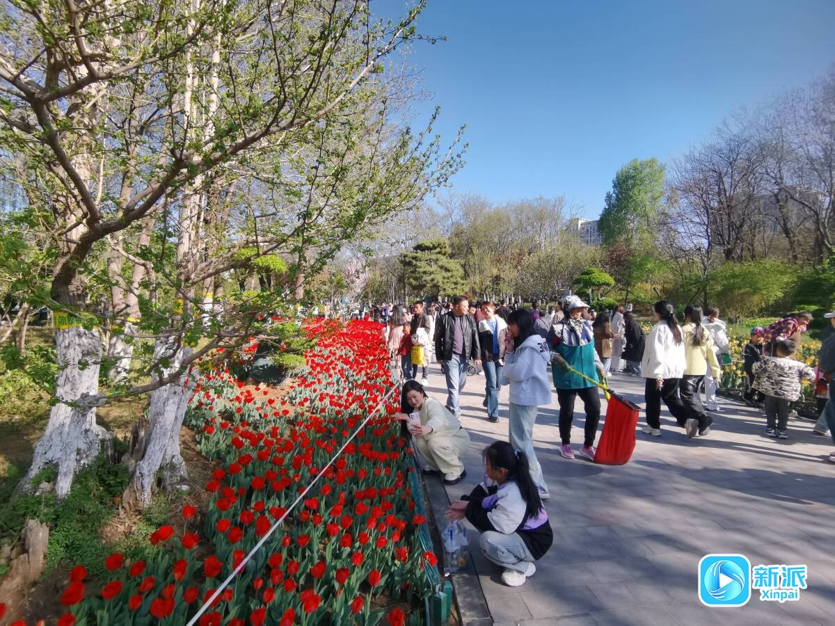 3cb5205675a951878725df573c604880