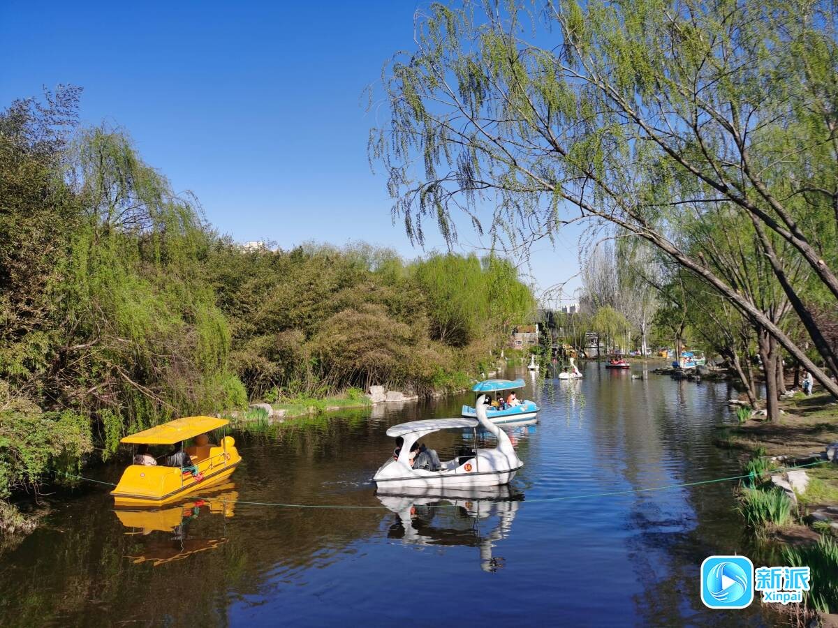 97c7fdcf8e9671654b2db6c8b4c66e2f