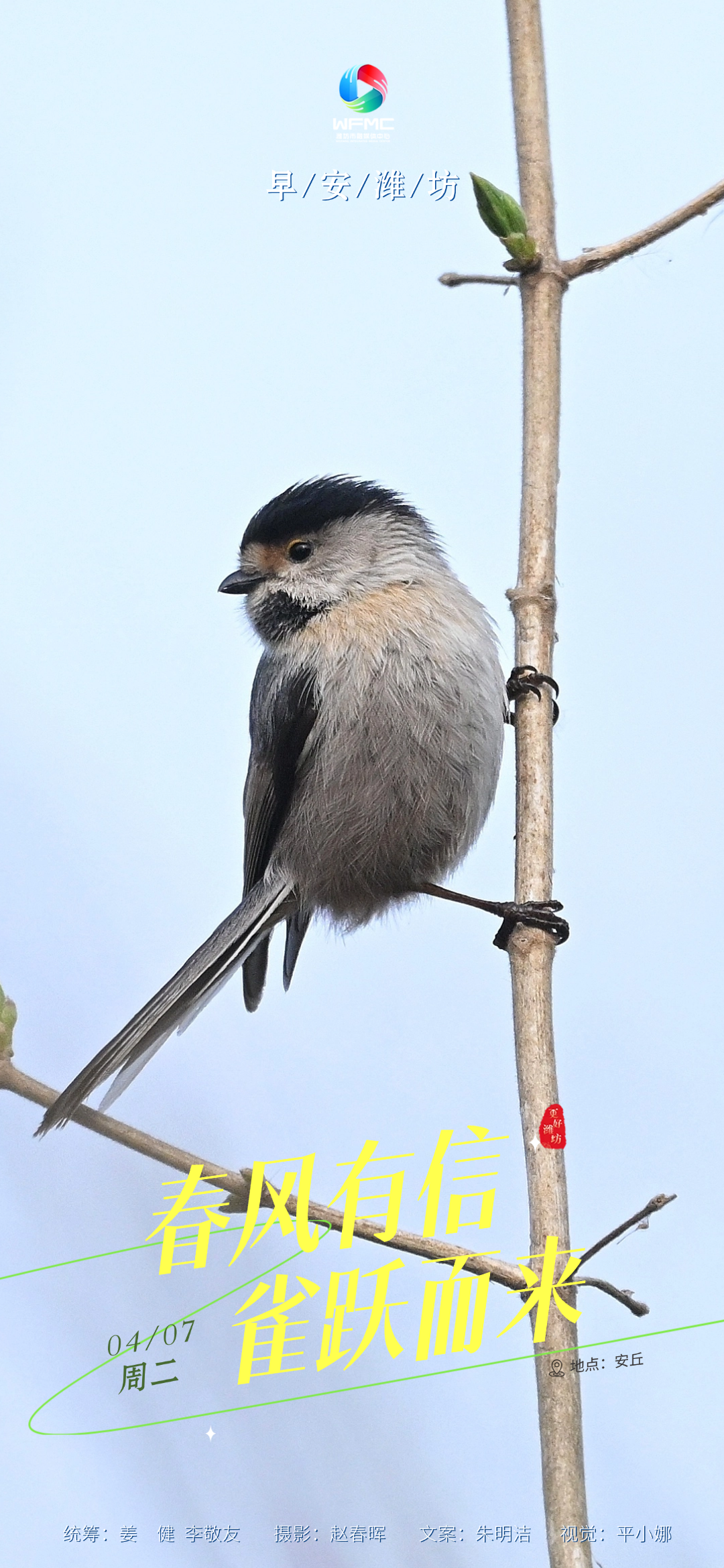 微信图片_20260406150307_620_186