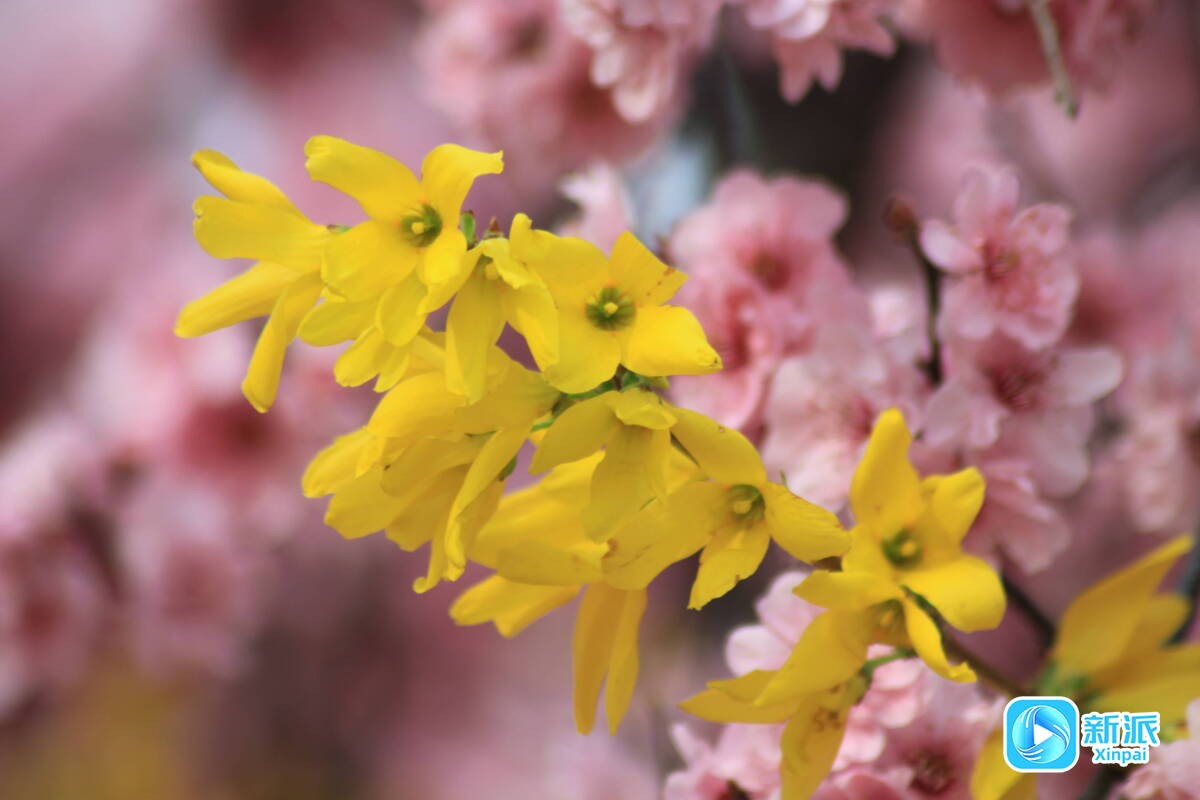 0de0e74d9b47e9c2e17fd381312b8bdd