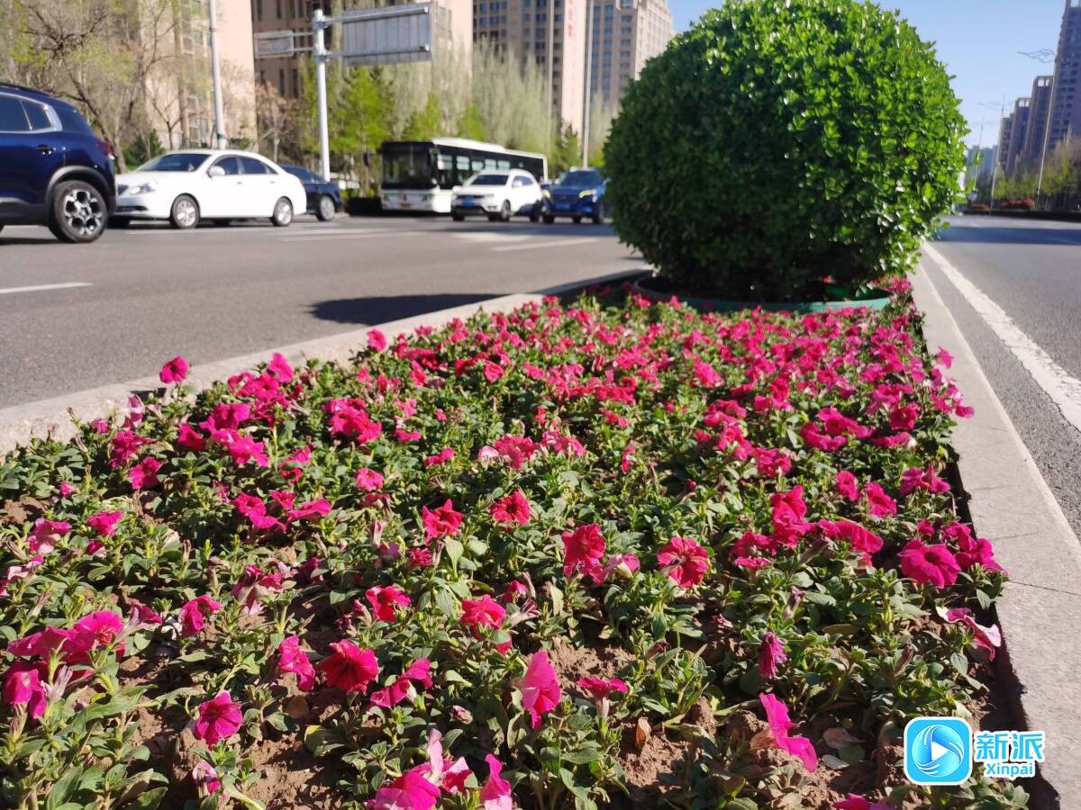 6f4edbd1a3c00a698ed3c9a178d79d61