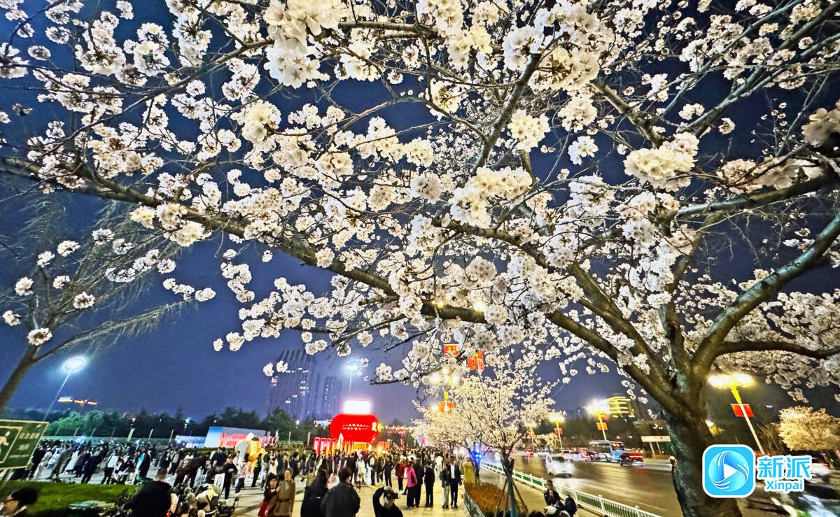 微信图片_20260410204331_4010_46