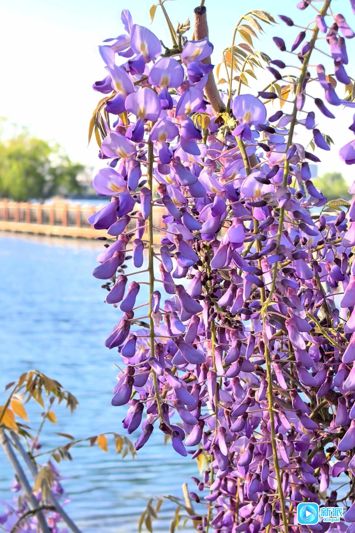 dd7aa01cf14bfd429506556cad35c42a