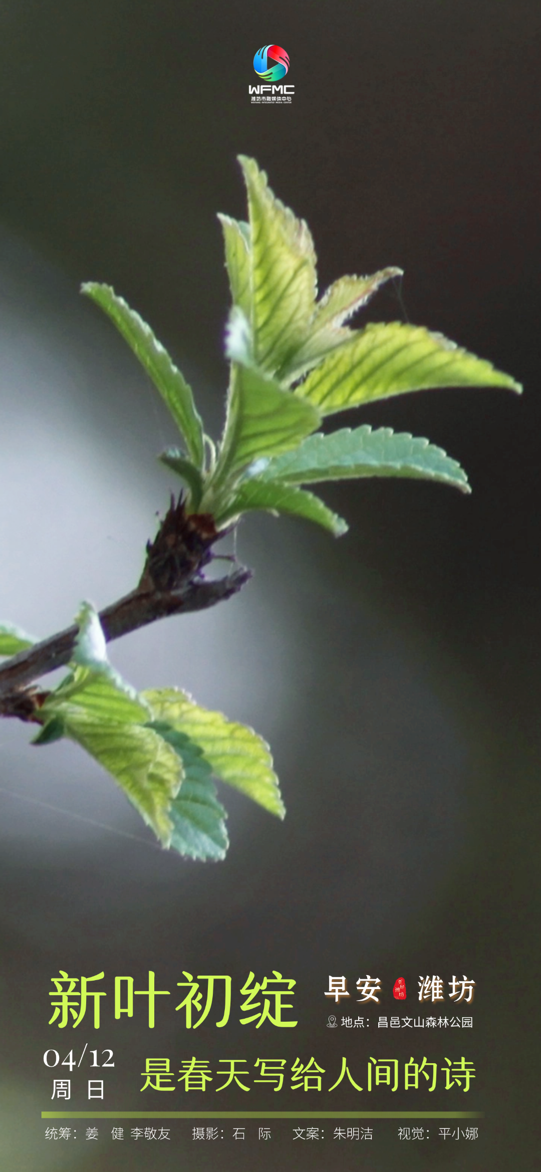 微信图片_20260410155846_494_7