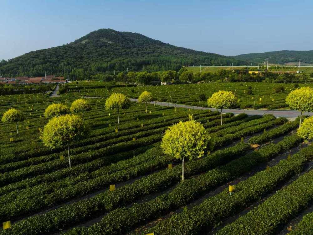 b43217e7c02f43ba8bcae87f6c2acb26