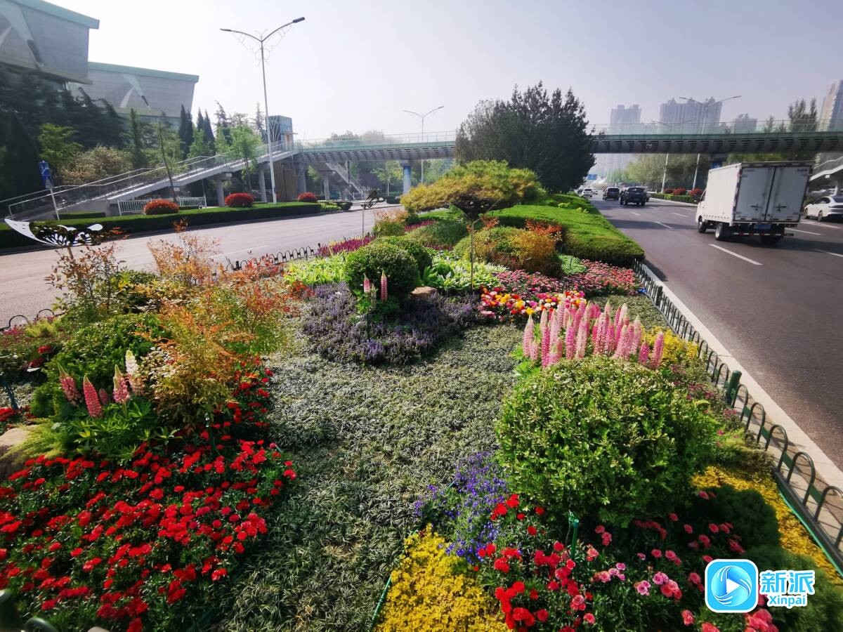 f7f25cf7edd18d35a892222363f2e5b6