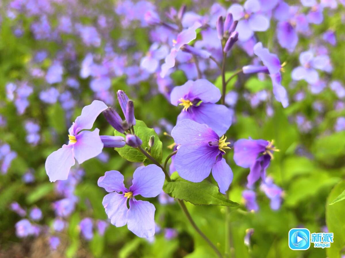 a52fa4c50d04d66b74048cd36b67bf8e