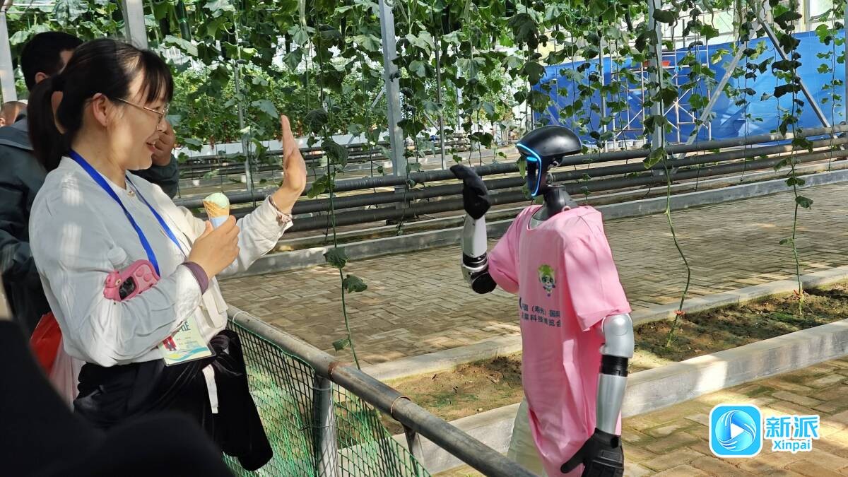 8219d695a90f328072d282bef6af5923