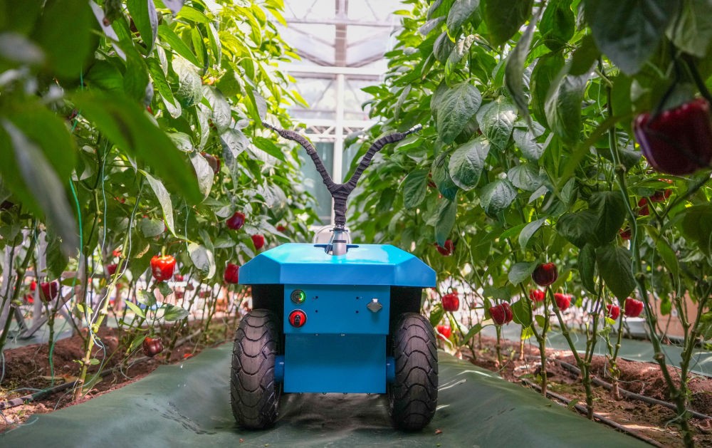 8467ea368efe45b98ba893a6159ea898