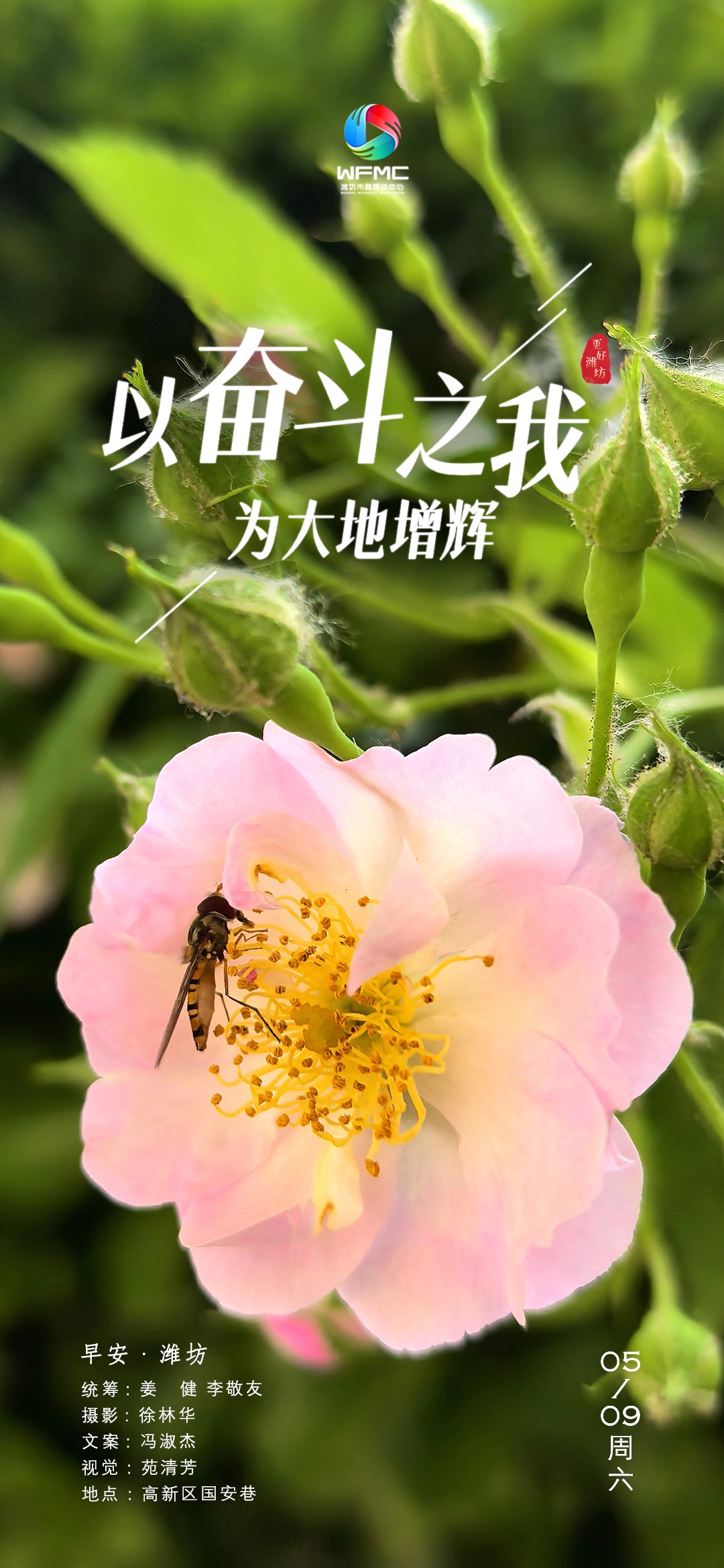 微信图片_20260508175842