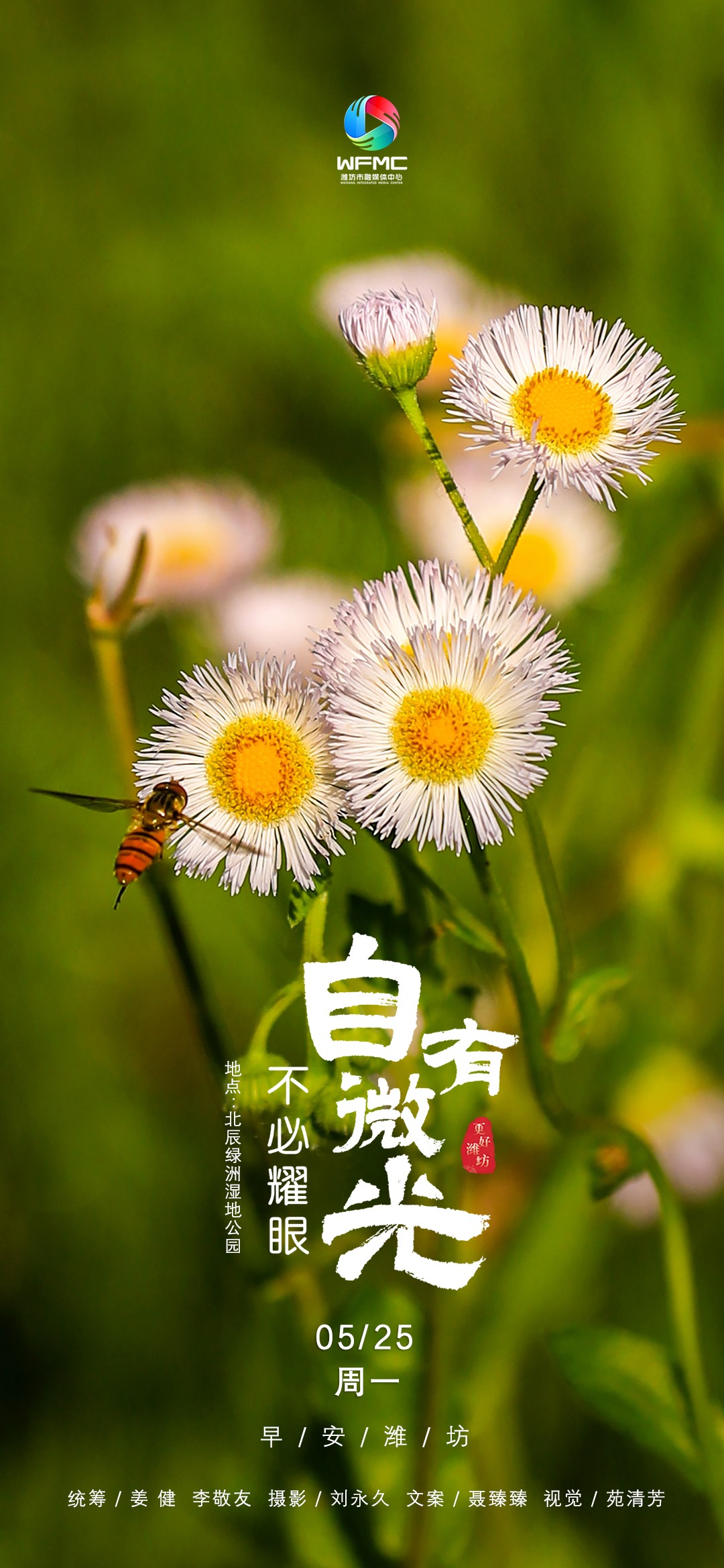 微信图片_20260522182654_1081_101