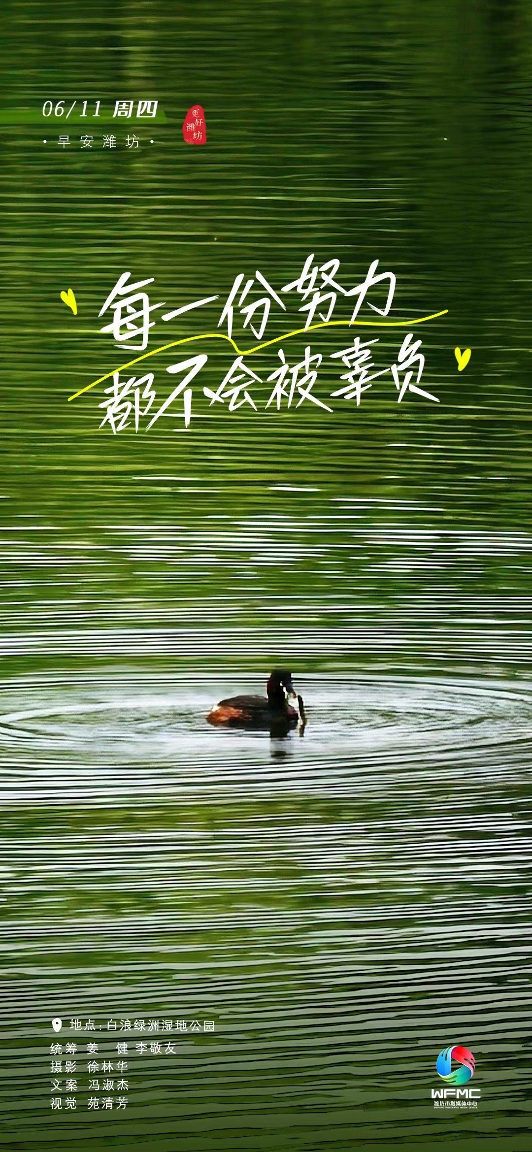 微信图片_20260610173332