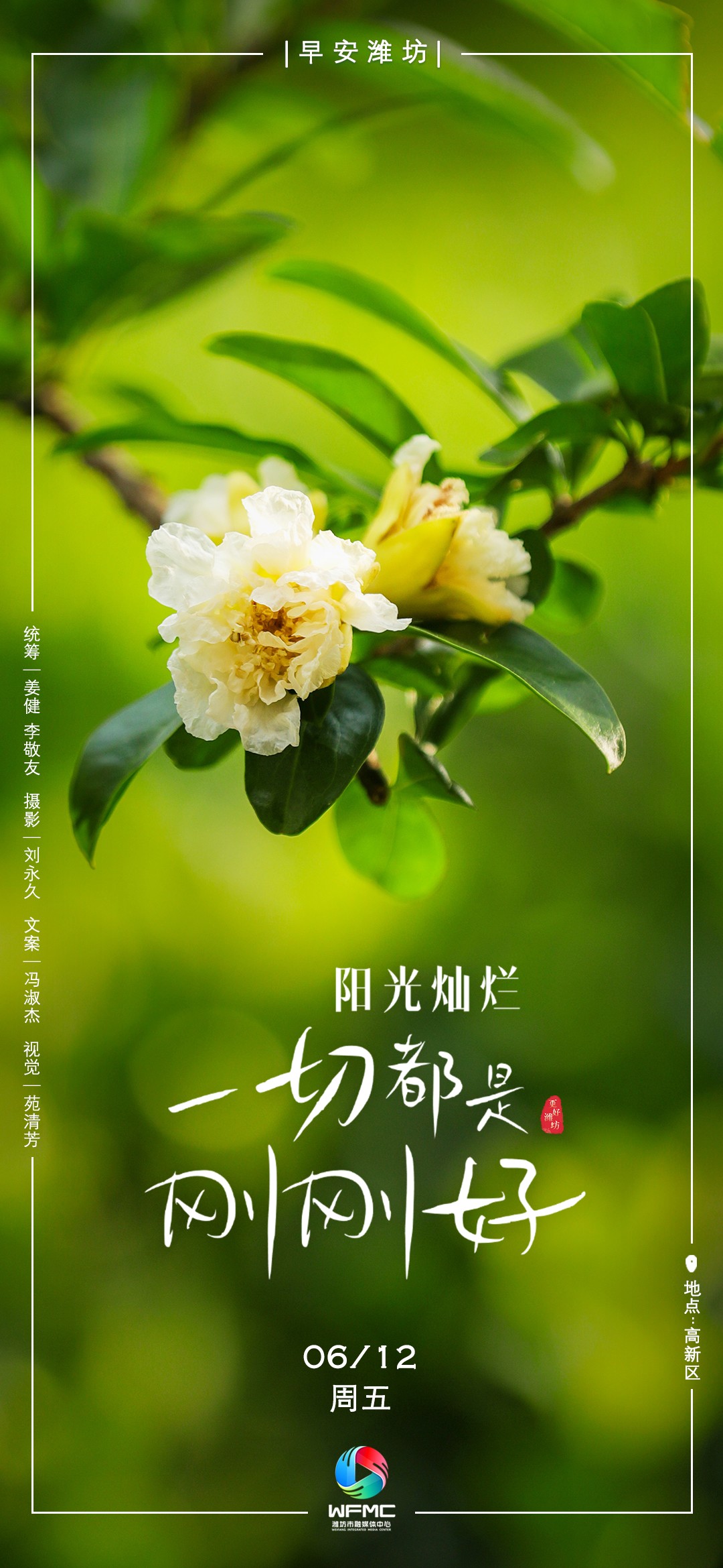 早安首图0612