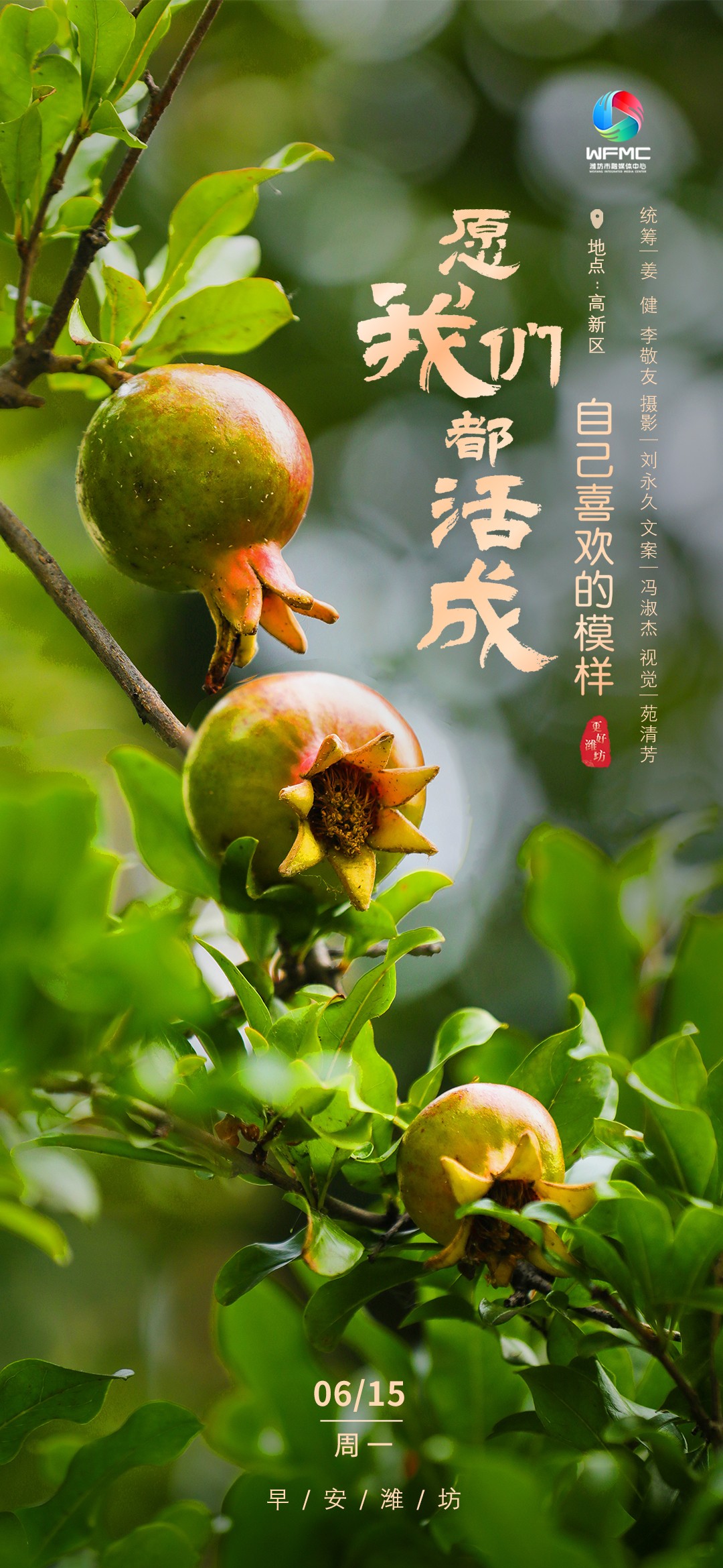 微信图片_20260614170019_4153_139