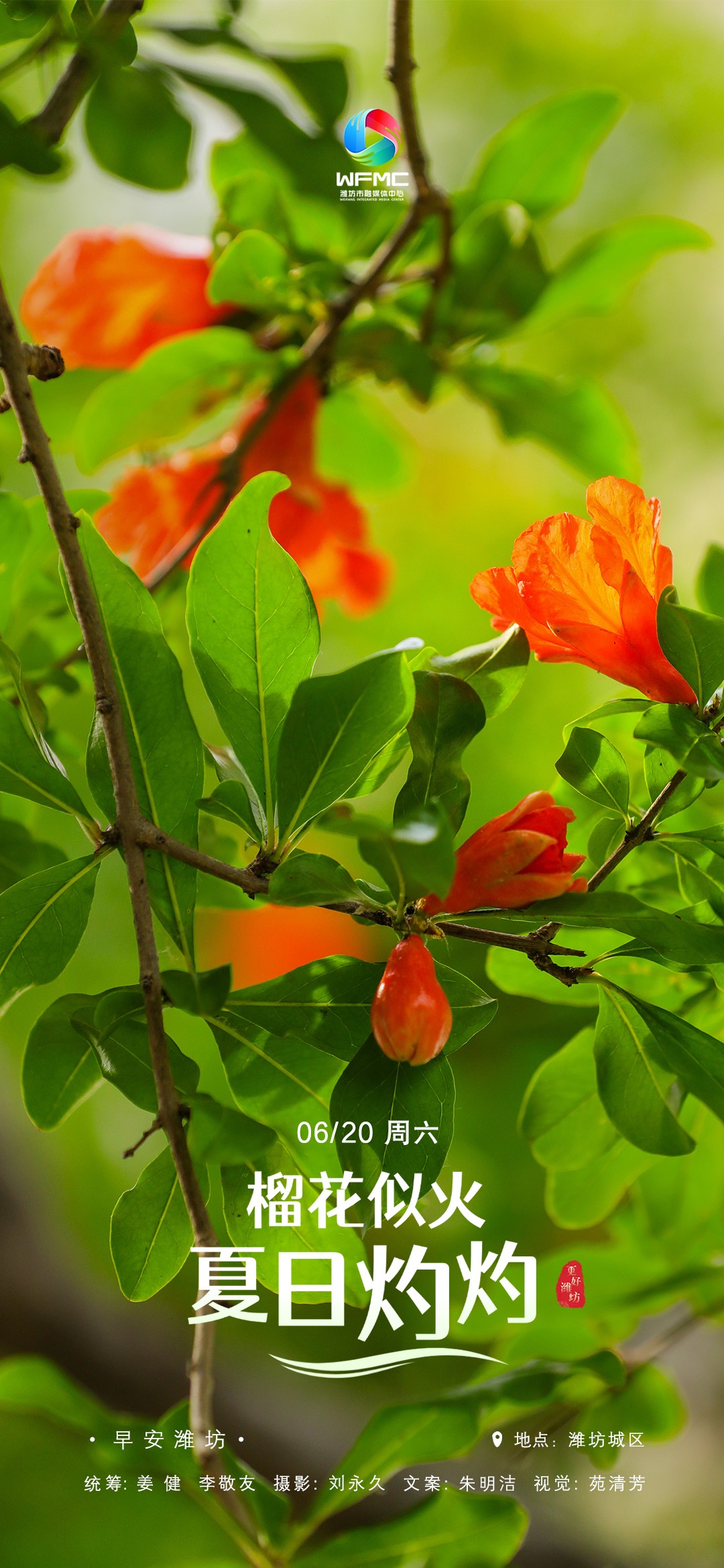 微信图片_20260619112052