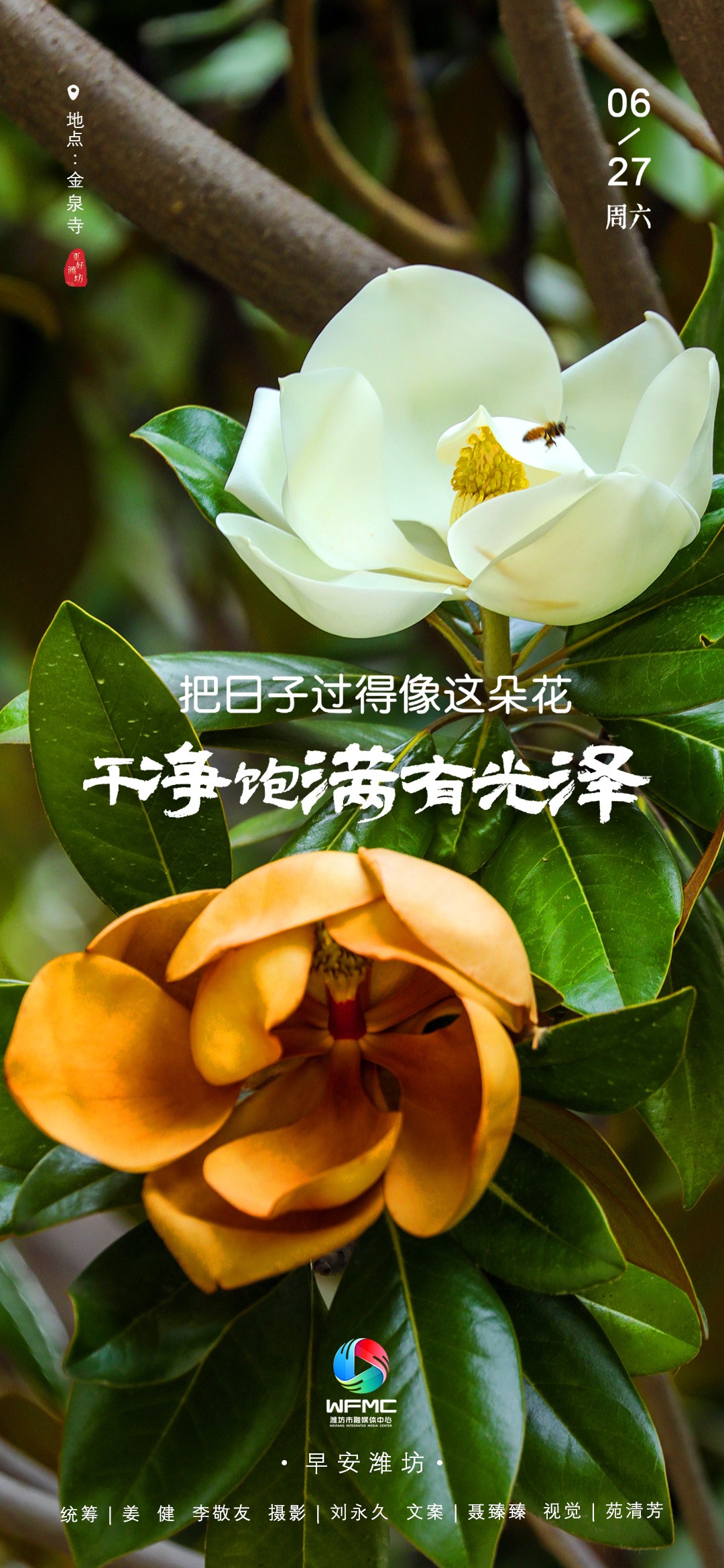 微信图片_20260625182044_799_86