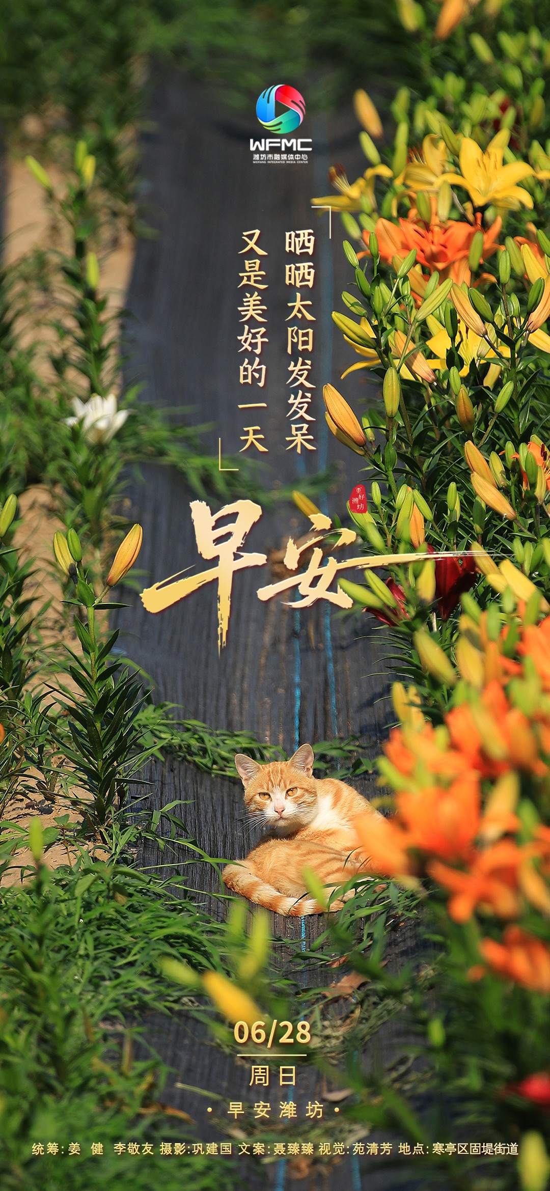 微信图片_20260627172301