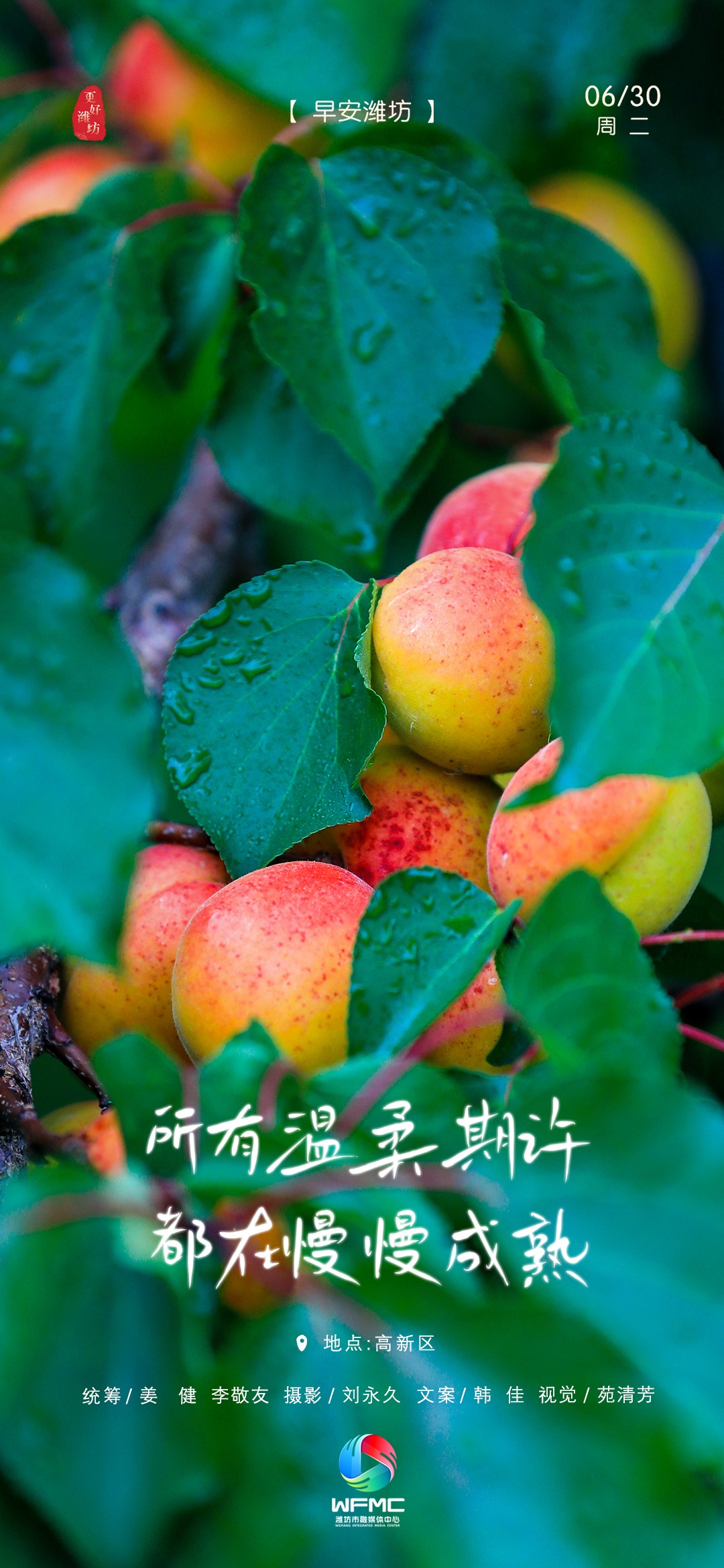 早安首图0630
