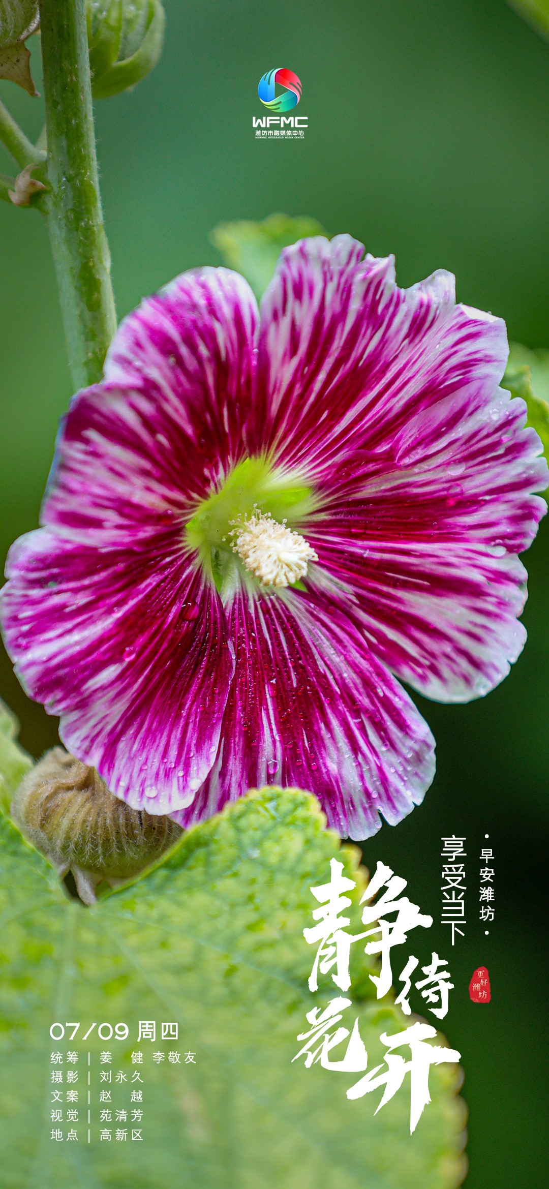 0709早安