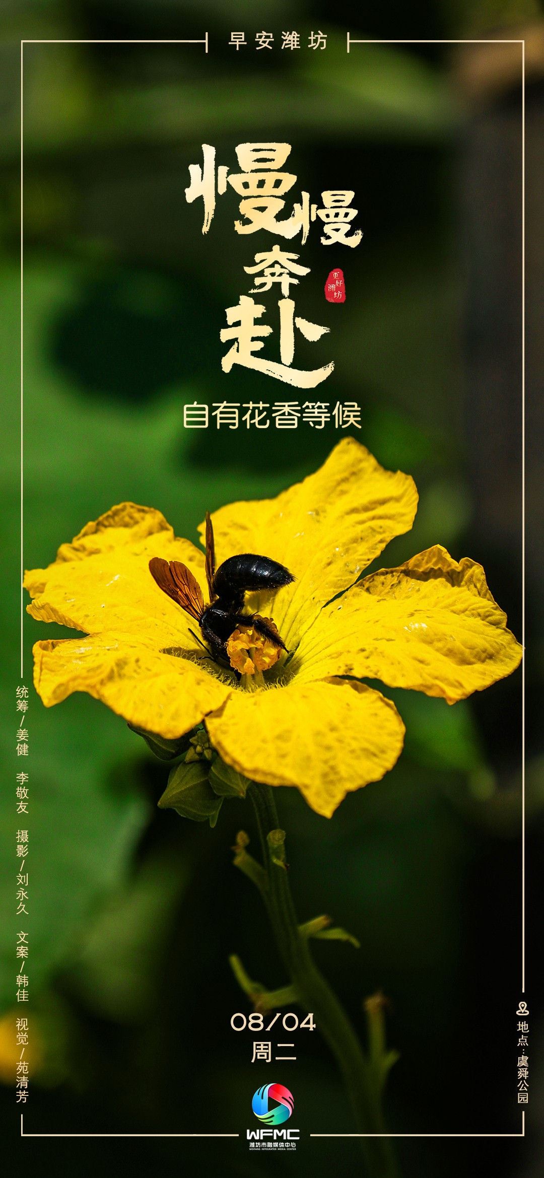 早安首图0804