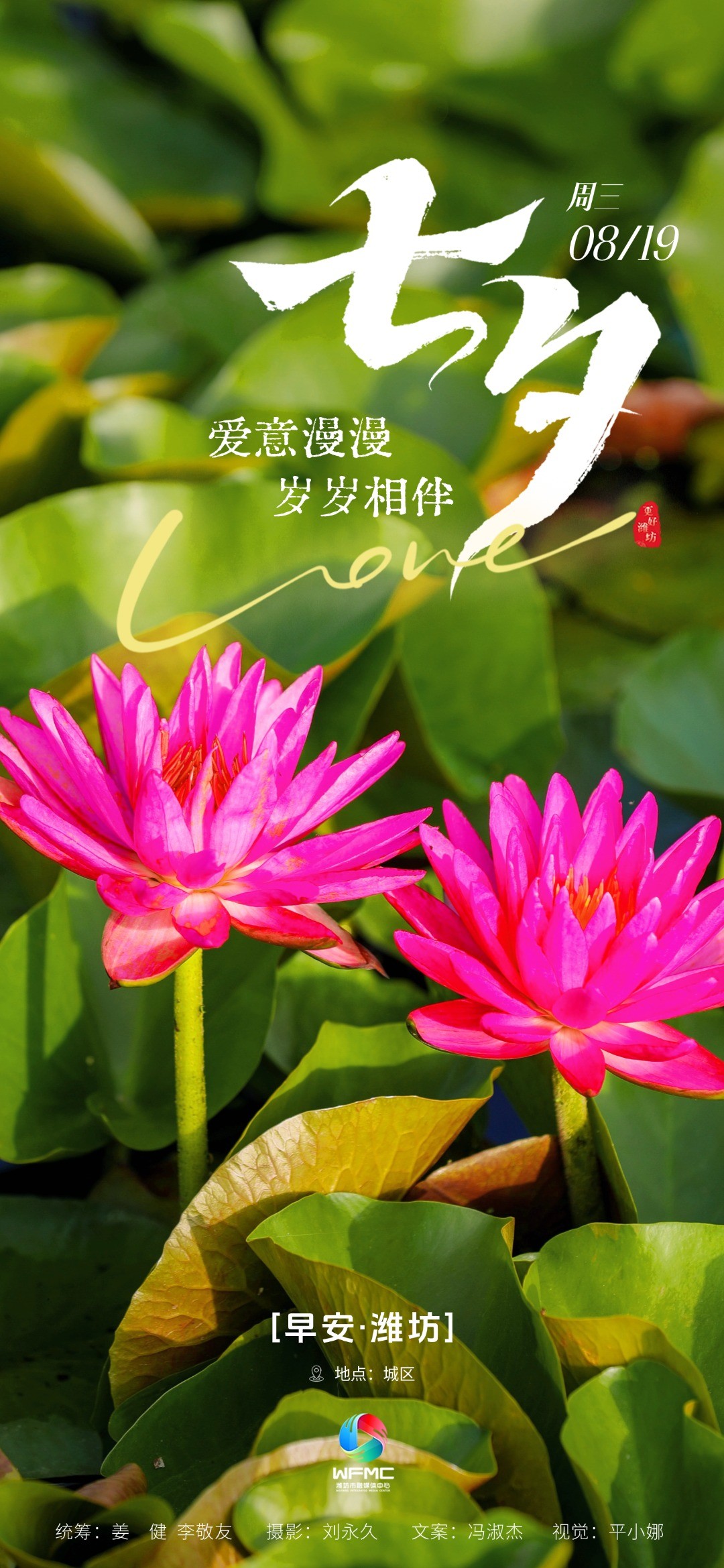 微信图片_20260818150002_971_86