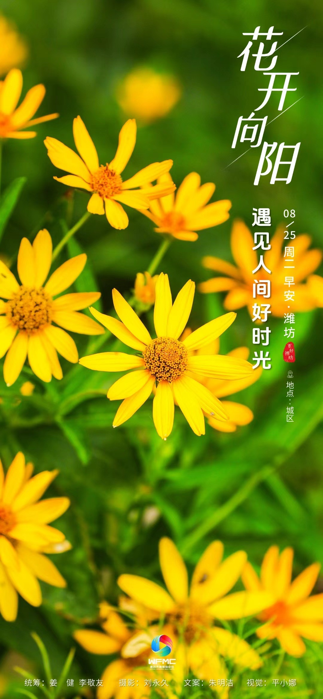 早安首图0825