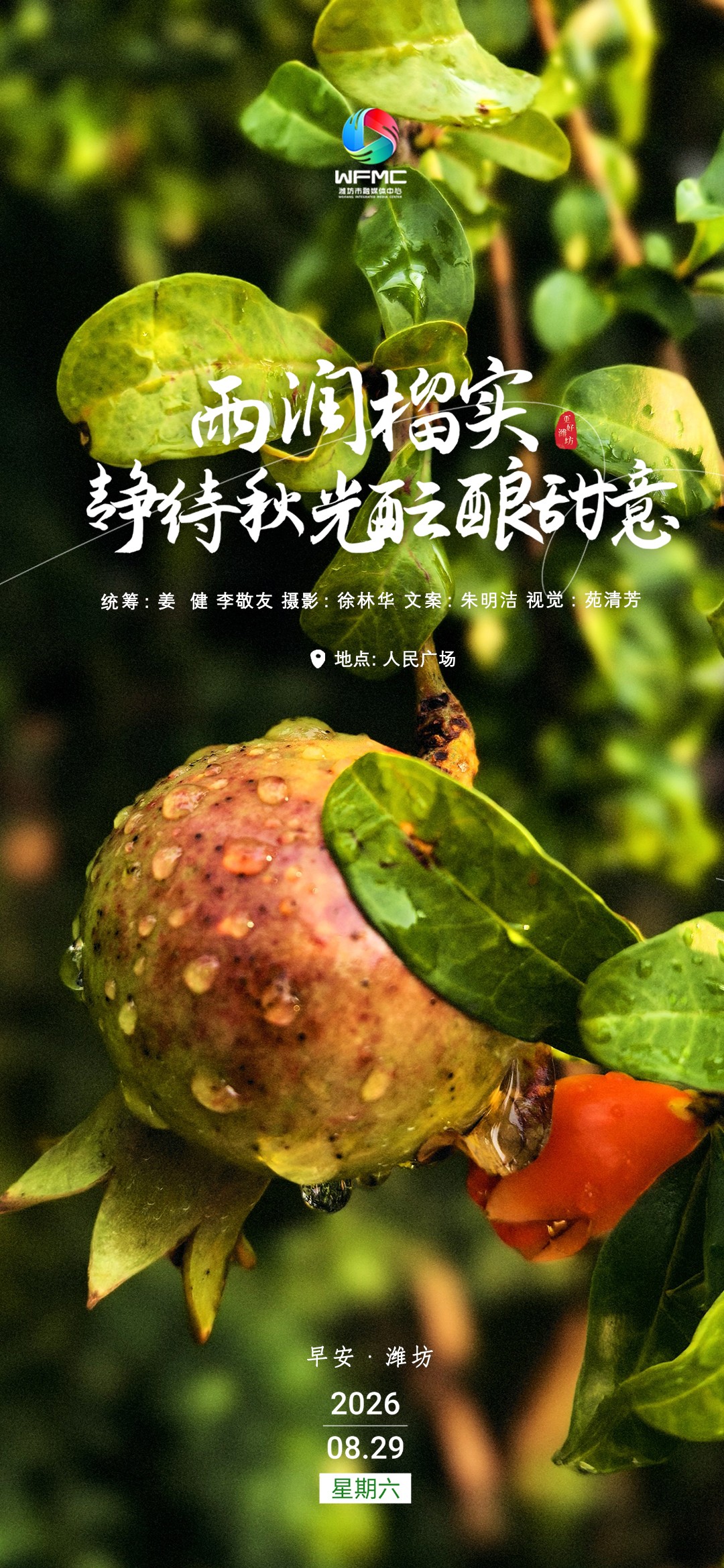 0830早安首图