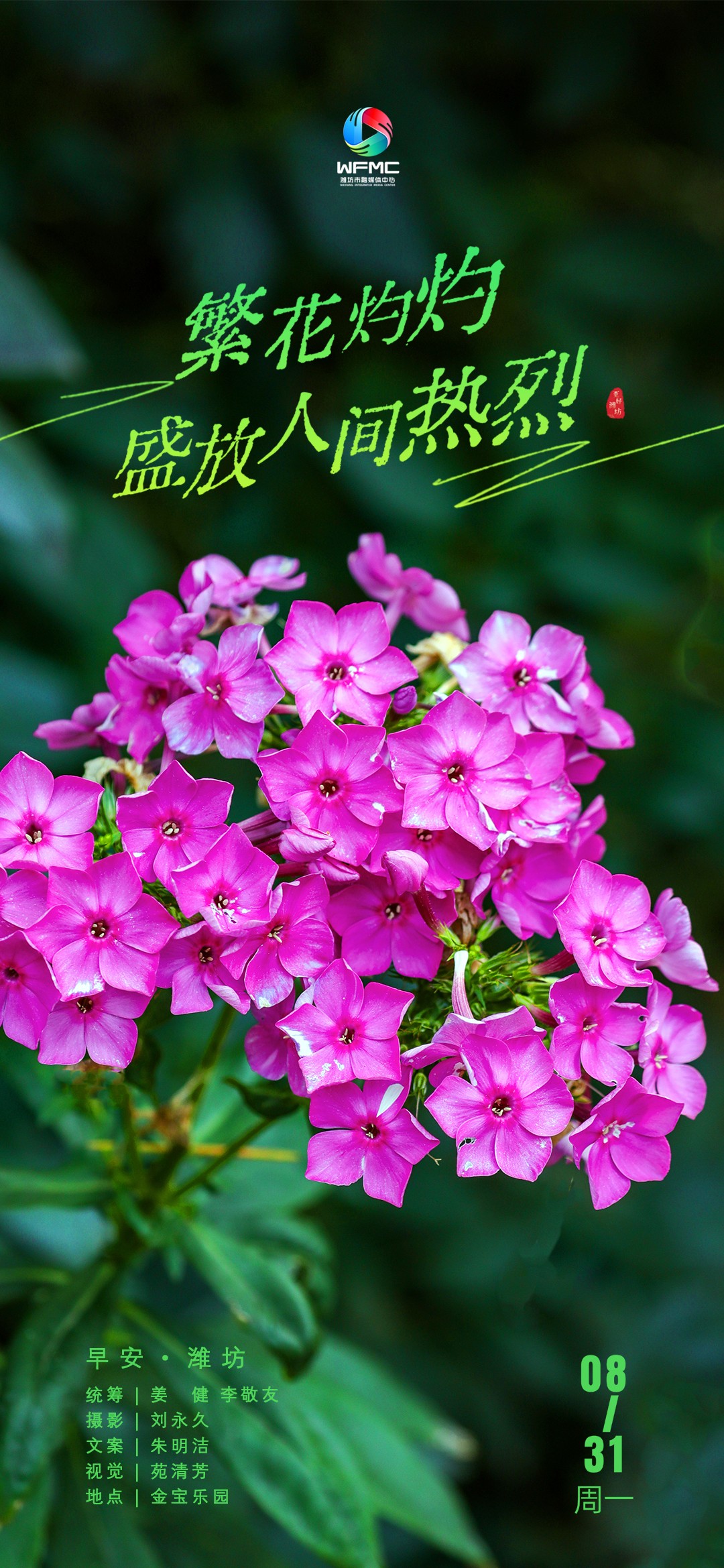 早安首图0831
