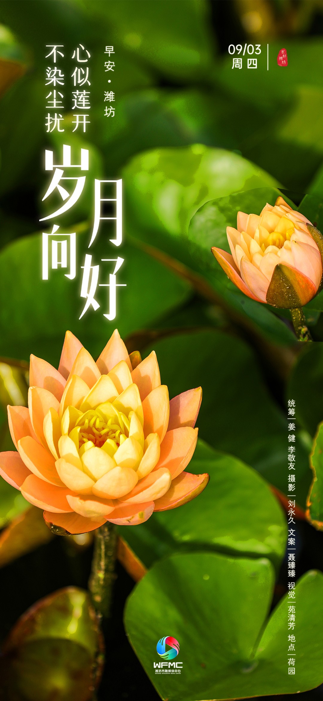 微信图片_20260902170132_1022_86