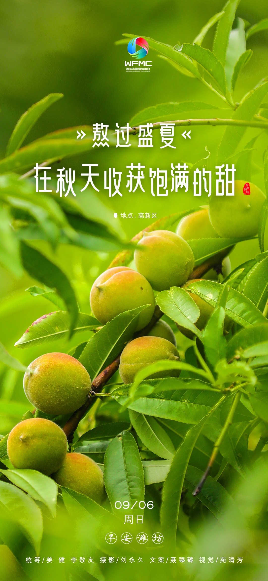 微信图片_20260905172521