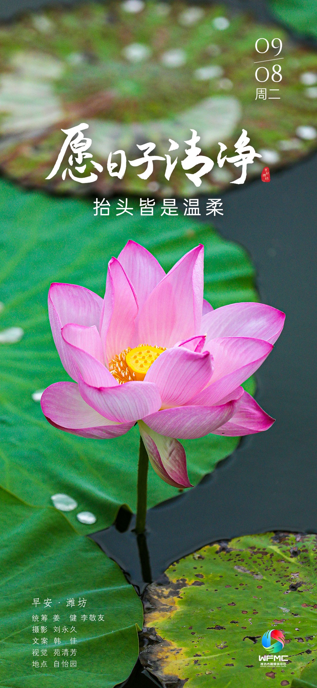 微信图片_20260907170458_1029_86