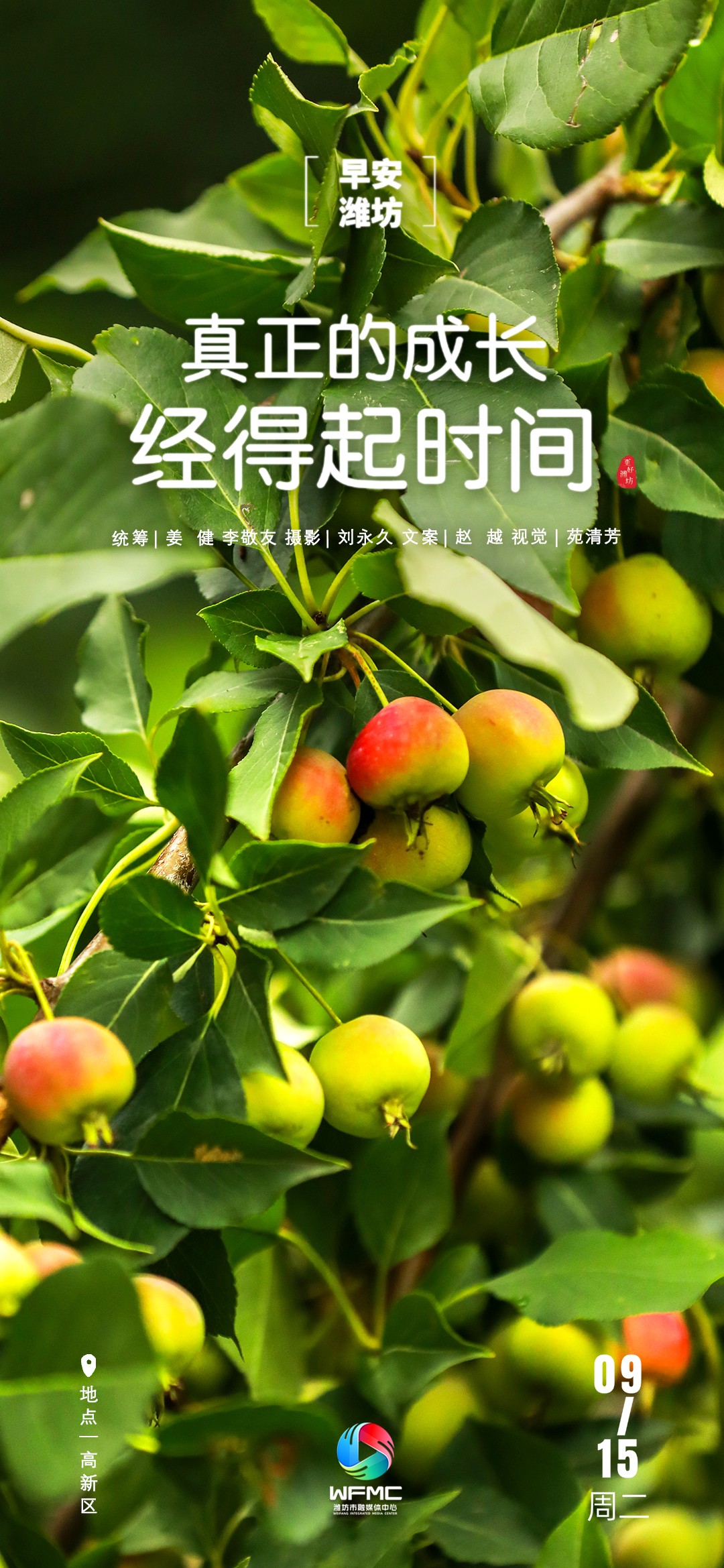 微信图片_20260914193914_104_2