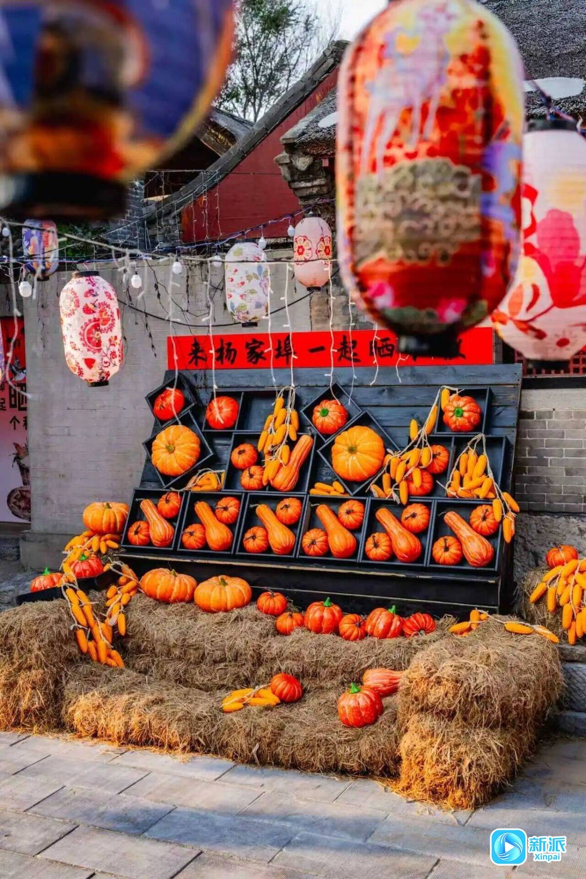 潍坊游