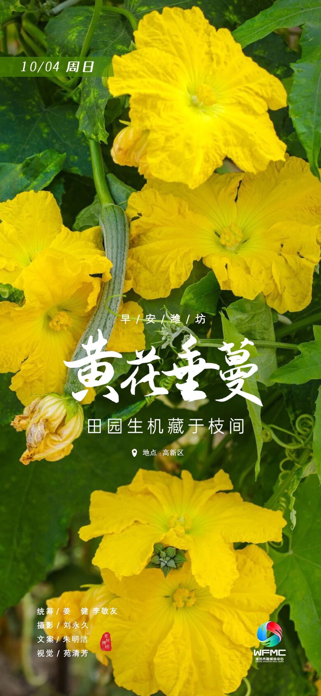早安1004