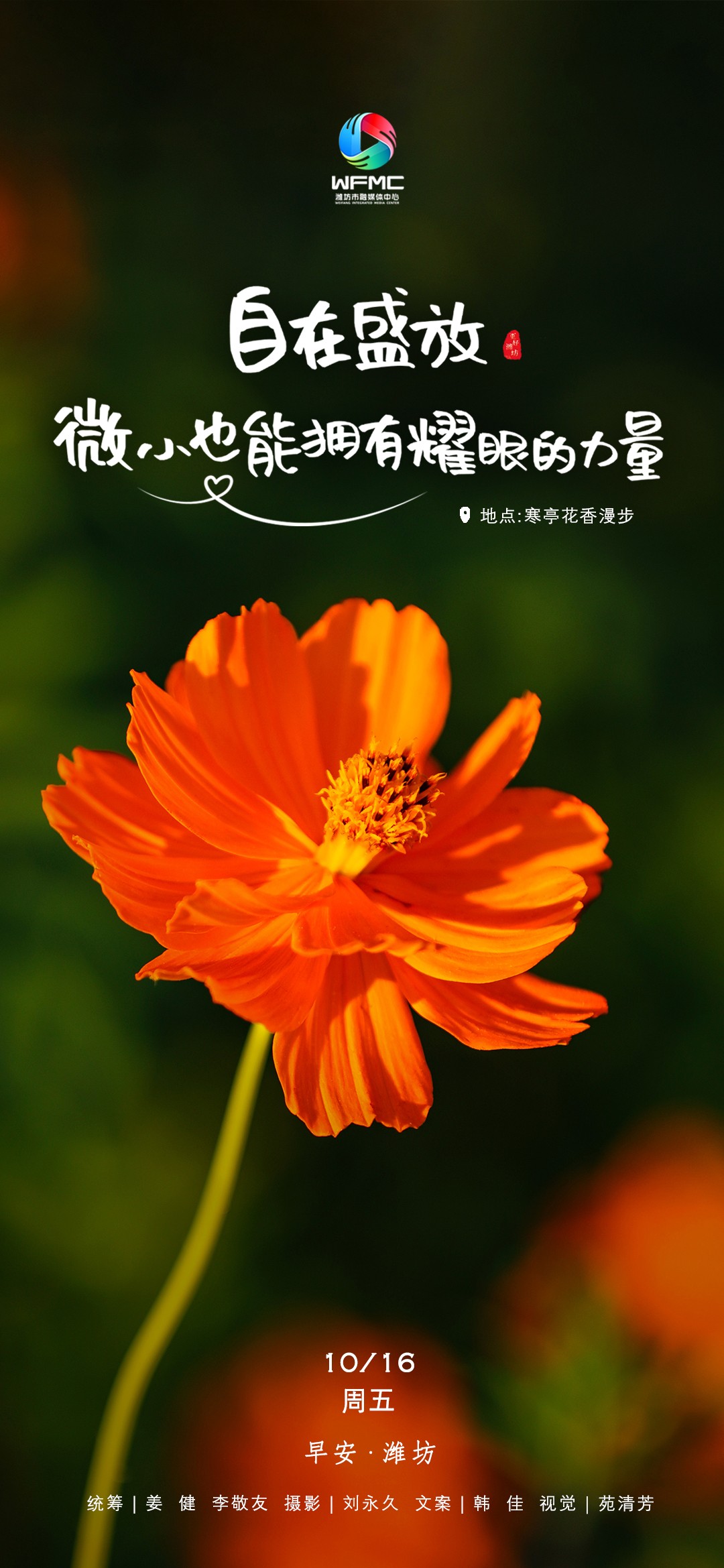 早安1016