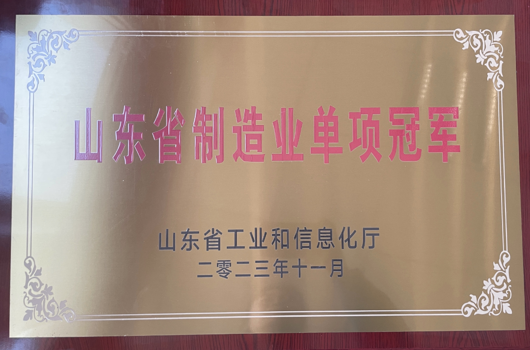 山東省制造業(yè)單項冠軍企業(yè).png
