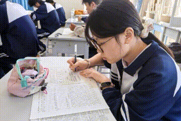 动图.gif